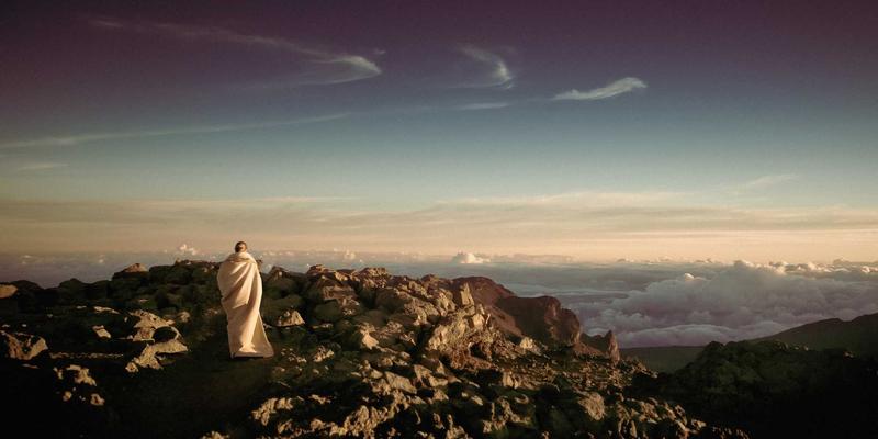 从田野到城市:本土谷物如何成为当代艺术创作的灵感与媒介