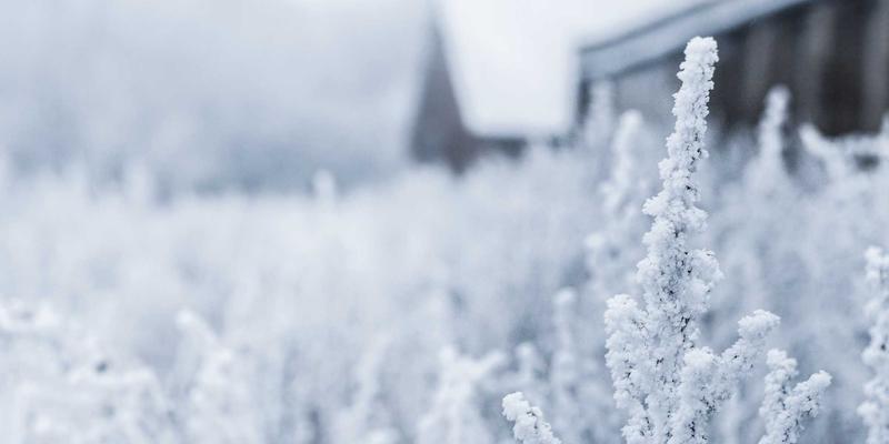 从田野到展厅：米艺艺术如何重塑商业空间的叙事与感官体验