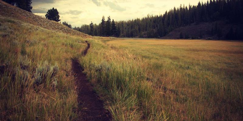 从田野到织物:当米艺拼贴遇见纤维艺术,一场关于肌理的灵感革命