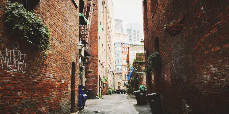 从种子到艺术：用米粒重塑绘画与雕塑的可持续创作革命