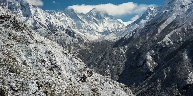 从雕塑到绘画：解码米艺艺术品的收藏价值与市场蓝海