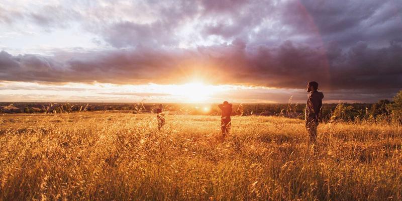 当科学遇见艺术:生物可降解粘合剂如何重塑米艺雕塑的永恒之美