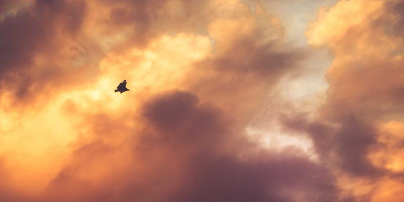 当米纸邂逅光影：探索半透明材质在装置艺术中的透射与折射美学