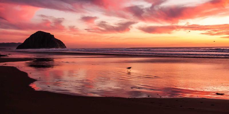 米粒上的乾坤：泰国米艺与中华米艺的技艺碰撞与美学对话