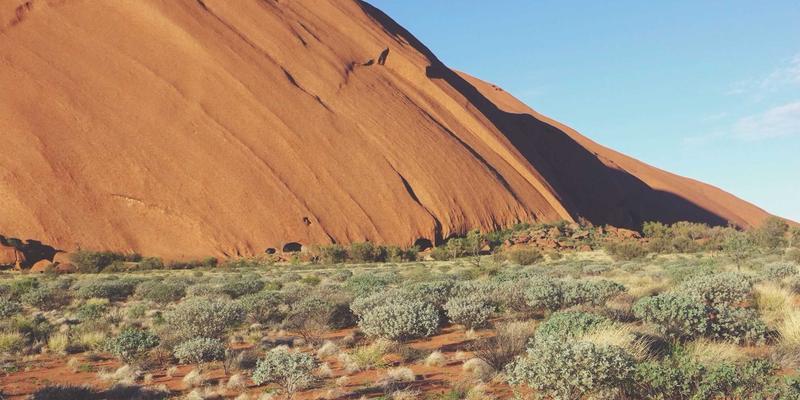 米粒上的宇宙奇观：当扫描电镜遇见谷物艺术，科学与美学的跨界对话