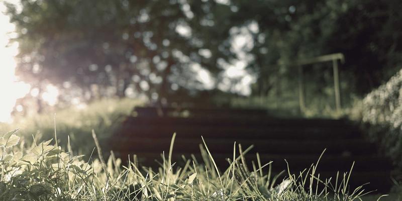 米粒间的生命剧场：当摄影艺术邂逅发酵米艺的不可控之美