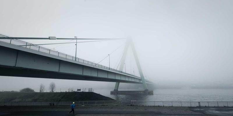 米粒间的禅意修行:探索谷物拼贴艺术中的留白美学与心灵雕塑